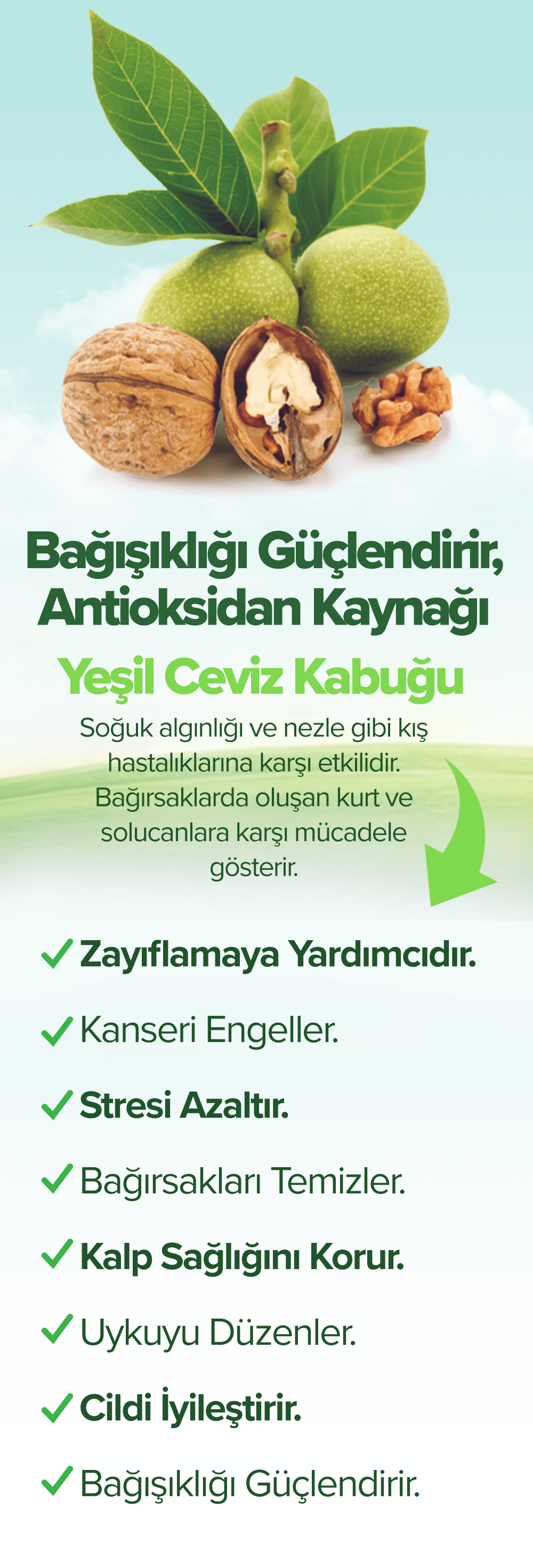 Yeşil Ceviz Kabuğu