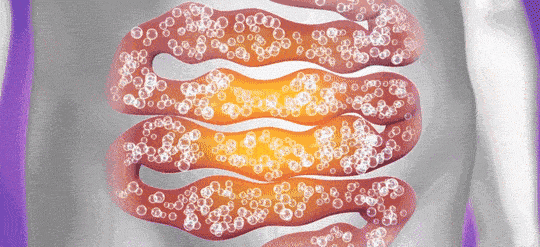 Yeşil Ceviz Kabuğu