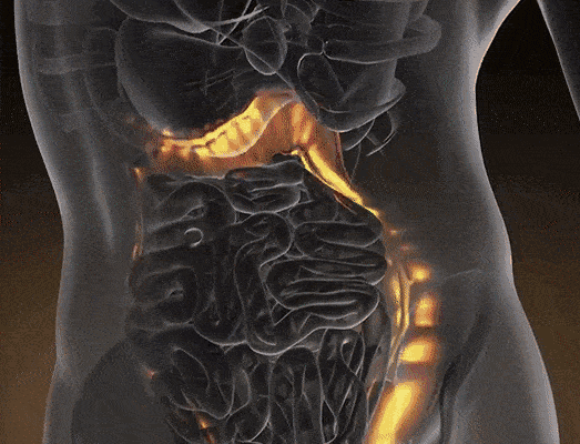 Yeşil Ceviz Kabuğu